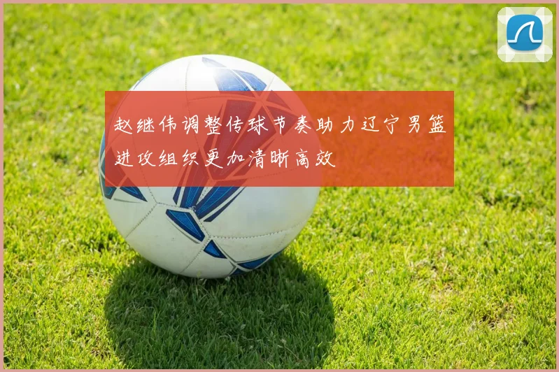 赵继伟调整传球节奏助力辽宁男篮进攻组织更加清晰高效